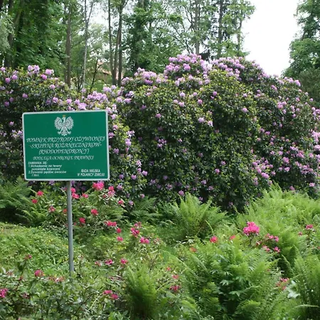 リゾート Zameczek ポラニツァ・ズドゥルイ