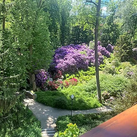 Resort Zameczek 3*