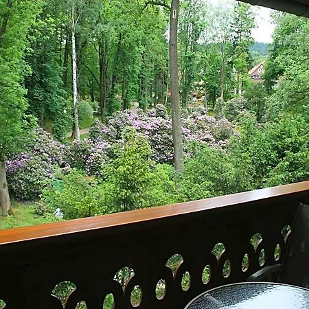 Resort Zameczek 3*