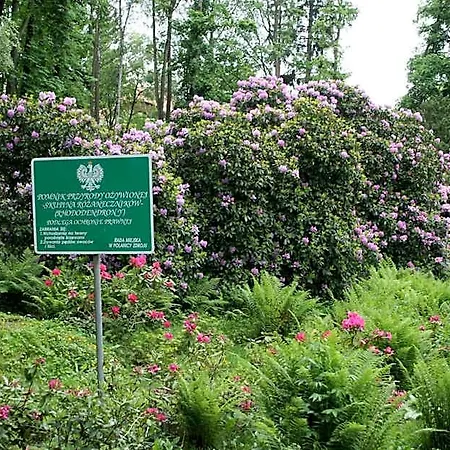 薇拉扎梅泽科酒店 3*