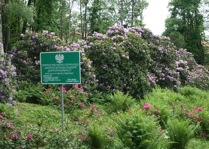 リゾート Zameczek ポラニツァ・ズドゥルイ